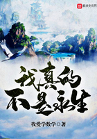 ����Ĳ�������