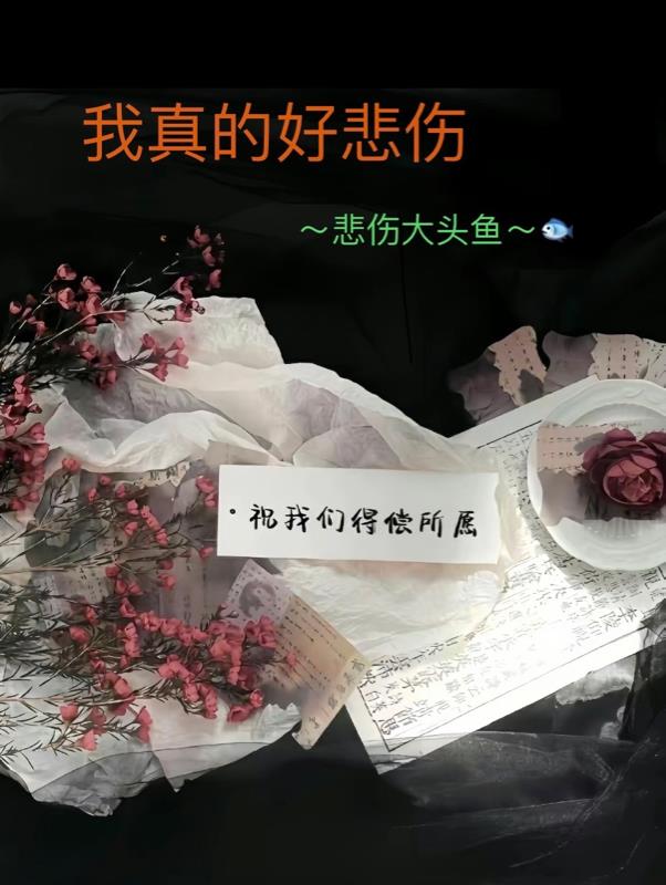 ����ĺñ���